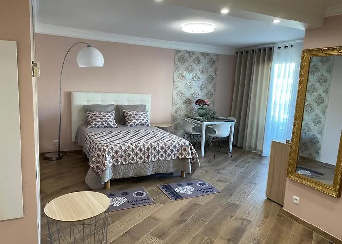 Apartment With Swimming Pool 80 Meters Near The Nice