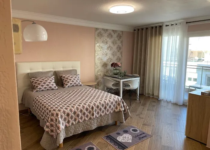 Apartment With Swimming Pool 80 Meters Near The Nice