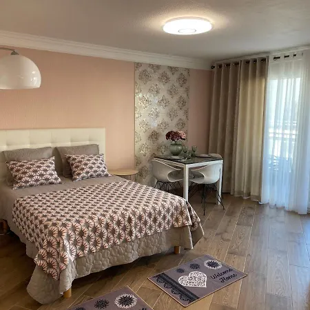 Apartment With Swimming Pool 80 Meters Near The Nice